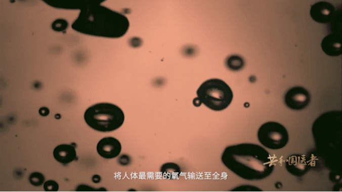 from clipboard from clipboard