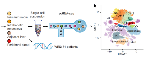 from clipboard from clipboard