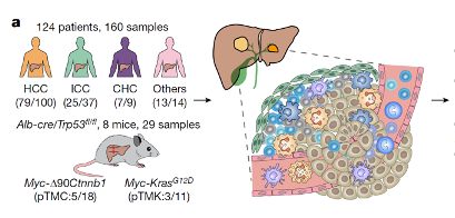 from clipboard from clipboard