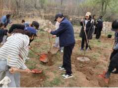 from clipboard from clipboard