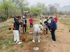 from clipboard from clipboard