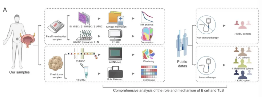 from clipboard from clipboard